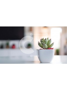 Intra Συλλεκτικό Ξύλινο Παζλ Plywood  4mm - Μικρό φυτό σε γλάστρα σε λευκό τραπέζι με τηλεοράσεις στο φόντο Σε Ξύλινο Κουτί - Διαστάσεις Puzzle: 10x10 cm – 25 κομμάτια