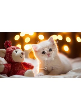 Σετ των 2 Intra Συλλεκτικό Ξύλινο Παζλ Plywood  4mm - Λευκό γατάκι και αρκουδάκι Σε Ξύλινο Κουτί - Διαστάσεις: 10x10 cm – 25 κομμάτια