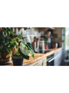 Intra Συλλεκτικό Ξύλινο Παζλ Plywood  4mm - Πράσινη κουζίνα με ζωηρά φυτά σε γλάστρες Σε Ξύλινο Κουτί - Διαστάσεις Puzzle: 10x10 cm – 25 κομμάτια