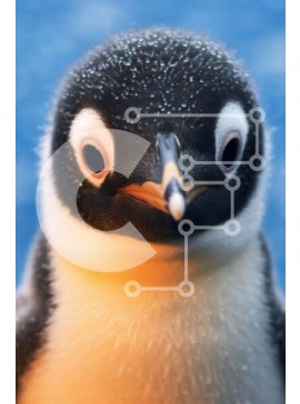 Σετ των 2 Intra Συλλεκτικό Ξύλινο Παζλ Plywood  4mm - Αξιολάτρευτος πιγκουίνος στέκεται στα πίσω πόδια με περίεργη έκφραση Σε Ξύλινο Κουτί - Διαστάσεις: 10x10 cm – 25 κομμάτια