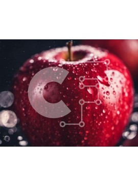 Σετ των 2 Intra Συλλεκτικό Ξύλινο Παζλ Plywood  4mm - Δύο κόκκινα μήλα με σταγονίδια νερού σε μαύρο φόντο Σε Ξύλινο Κουτί - Διαστάσεις: 10x10 cm – 25 κομμάτια