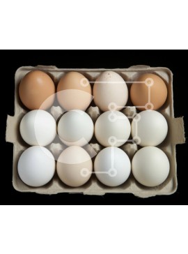 Σετ των 2 Intra Συλλεκτικό Ξύλινο Παζλ Plywood  4mm - Κουτί αυγών με λευκά και καφέ αυγά Σε Ξύλινο Κουτί - Διαστάσεις: 10x10 cm – 25 κομμάτια