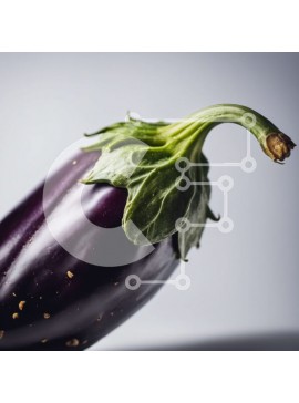 Σετ των 2 Intra Συλλεκτικό Ξύλινο Παζλ Plywood  4mm - Κοντινή όψη μιας φρέσκιας και άψογης μελιτζάνας Σε Ξύλινο Κουτί - Διαστάσεις: 10x10 cm – 25 κομμάτια