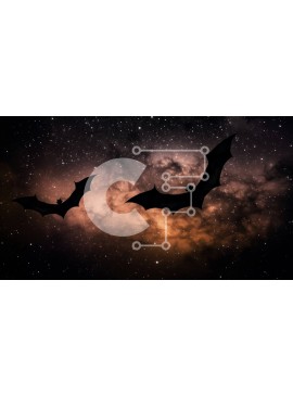 Σετ των 2 Intra Συλλεκτικό Ξύλινο Παζλ Plywood  4mm - Όμορφη εικόνα δύο νυχτερίδων που πετούν στον νυχτερινό ουρανό Σε Ξύλινο Κουτί - Διαστάσεις: 10x10 cm – 25 κομμάτια