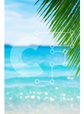 Σετ των 2 Intra Συλλεκτικό Ξύλινο Παζλ Plywood  4mm - Τροπική παραλία με καταγάλανα νερά και φοίνικα Σε Ξύλινο Κουτί - Διαστάσεις: 10x10 cm – 25 κομμάτια