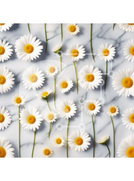 Intra Συλλεκτικό Ξύλινο Παζλ Plywood  4mm - Όμορφη εικόνα λευκών μαργαριτών σε μαρμάρινη επιφάνεια Σε Ξύλινο Κουτί - Διαστάσεις: 10x10 cm – 25 κομμάτια