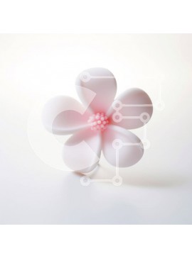 Intra Συλλεκτικό Ξύλινο Παζλ Plywood  4mm - Λευκό λουλούδι με ροζ πέταλα σε λευκό φόντο Σε Ξύλινο Κουτί - Διαστάσεις: 10x10 cm – 25 κομμάτια