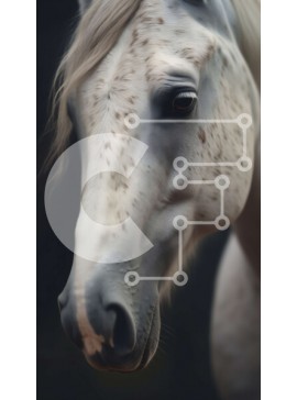 Σετ των 2 Intra Συλλεκτικό Ξύλινο Παζλ Plywood  4mm - Λευκό άλογο με καφέ κηλίδες Σε Ξύλινο Κουτί - Διαστάσεις: 10x10 cm – 25 κομμάτια