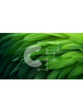 Σετ των 2 Intra Συλλεκτικό Ξύλινο Παζλ Plywood  4mm - Κοντινό πλάνο πράσινα φτερά με πουλιά Σε Ξύλινο Κουτί - Διαστάσεις: 10x10 cm – 25 κομμάτια