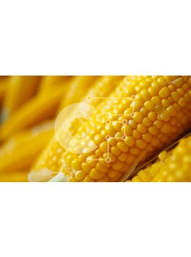 Σετ των 2 Intra Συλλεκτικό Ξύλινο Παζλ Plywood  4mm - Κοντινή όψη των στοιβαγμένων στάχυα Σε Ξύλινο Κουτί - Διαστάσεις: 10x10 cm – 25 κομμάτια