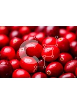 Σετ των 2 Intra Συλλεκτικό Ξύλινο Παζλ Plywood  4mm - Σωρός από κόκκινα βακκίνια Σε Ξύλινο Κουτί - Διαστάσεις: 10x10 cm – 25 κομμάτια