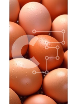 Intra Συλλεκτικό Ξύλινο Παζλ Plywood  4mm - Γκρο πλαν εικόνα καφέ αυγών σε λευκό φόντο Σε Ξύλινο Κουτί - Διαστάσεις: 10x10 cm – 25 κομμάτια