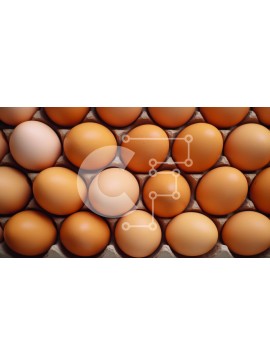 Σετ των 2 Intra Συλλεκτικό Ξύλινο Παζλ Plywood  4mm - Κοντινό πλάνο καφέ αυγών σε χάρτινο κουτί Σε Ξύλινο Κουτί - Διαστάσεις: 10x10 cm – 25 κομμάτια