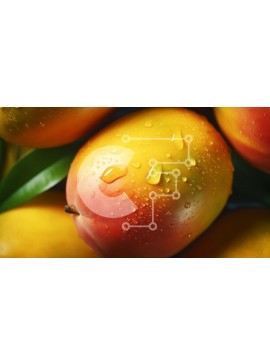 Σετ των 2 Intra Συλλεκτικό Ξύλινο Παζλ Plywood  4mm - Κοντινό πλάνο από φρέσκα ώριμα μάνγκο σε μαύρο φόντο Σε Ξύλινο Κουτί - Διαστάσεις: 10x10 cm – 25 κομμάτια