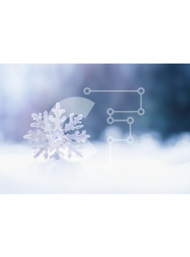 Intra Συλλεκτικό Ξύλινο Παζλ Plywood  4mm - Νιφάδα χιονιού στο χιόνι στο χειμερινό τοπίο Σε Ξύλινο Κουτί - Διαστάσεις Puzzle: 10x10 cm – 25 κομμάτια