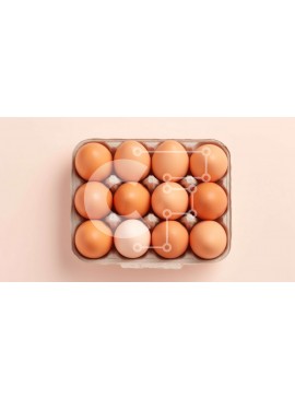 Σετ των 2 Intra Συλλεκτικό Ξύλινο Παζλ Plywood  4mm - Κουτί καφέ αυγών με καθαρό παράθυρο Σε Ξύλινο Κουτί - Διαστάσεις: 10x10 cm – 25 κομμάτια