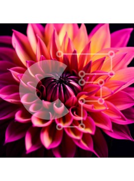 Intra Συλλεκτικό Ξύλινο Παζλ Plywood  4mm - Όμορφη κινηματογράφηση σε πρώτο πλάνο ενός ζωντανού λουλουδιού με απαλή φτερωτή υφή Σε Ξύλινο Κουτί - Διαστάσεις: 10x10 cm – 25 κομμάτια