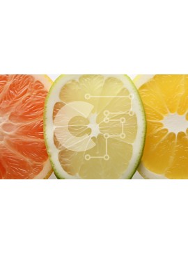 Σετ των 2 Intra Συλλεκτικό Ξύλινο Παζλ Plywood  4mm - Φέτες εσπεριδοειδών - γκρέιπφρουτ, λεμόνι, λάιμ και πορτοκάλι Σε Ξύλινο Κουτί - Διαστάσεις: 10x10 cm – 25 κομμάτια