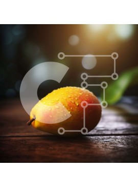 Σετ των 2 Intra Συλλεκτικό Ξύλινο Παζλ Plywood  4mm - Κυκλοθυμική εικόνα ενός ώριμου μάνγκο σε ένα ξύλινο τραπέζι Σε Ξύλινο Κουτί - Διαστάσεις: 10x10 cm – 25 κομμάτια