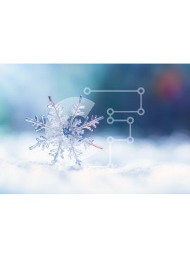 Intra Συλλεκτικό Ξύλινο Παζλ Plywood  4mm - Νιφάδα χιονιού στο χιόνι κατά τη χειμερινή περίοδο Σε Ξύλινο Κουτί - Διαστάσεις Puzzle: 10x10 cm – 25 κομμάτια