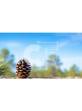 Intra Συλλεκτικό Ξύλινο Παζλ Plywood  4mm - Πεύκο σε βράχους με πεύκα και συννεφιασμένο ουρανό Σε Ξύλινο Κουτί - Διαστάσεις: 10x10 cm – 25 κομμάτια