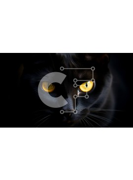 Intra Συλλεκτικό Ξύλινο Παζλ Plywood  4mm - Μαύρη γάτα με κίτρινα μάτια κοιτάζοντας την κάμερα Σε Ξύλινο Κουτί - Διαστάσεις: 10x10 cm – 25 κομμάτια