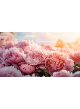 Intra Συλλεκτικό Ξύλινο Παζλ Plywood  4mm - Ανθισμένες ροζ παιώνιες με τον ήλιο να λάμπει πίσω τους Σε Ξύλινο Κουτί - Διαστάσεις: 10x10 cm – 25 κομμάτια