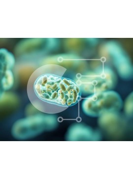 Intra Συλλεκτικό Ξύλινο Παζλ Plywood  4mm - Κοντινό πλάνο μικροσκοπικού οργανισμού Σε Ξύλινο Κουτί - Διαστάσεις Puzzle: 10x10 cm – 25 κομμάτια