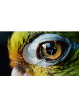 Intra Συλλεκτικό Ξύλινο Παζλ Plywood  4mm - Κοντινό πλάνο ενός πράσινου και κίτρινου ματιού παπαγάλου Σε Ξύλινο Κουτί - Διαστάσεις: 10x10 cm – 25 κομμάτια