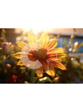 Intra Συλλεκτικό Ξύλινο Παζλ Plywood  4mm - Όμορφη εικόνα ενός ηλίανθου σε πλήρη άνθιση με χρυσό φως Σε Ξύλινο Κουτί - Διαστάσεις: 10x10 cm – 25 κομμάτια