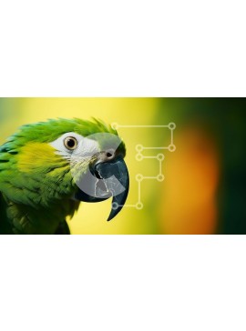 Intra Συλλεκτικό Ξύλινο Παζλ Plywood  4mm - Πράσινος και άσπρος παπαγάλος σε πορτοκαλί φόντο Σε Ξύλινο Κουτί - Διαστάσεις: 10x10 cm – 25 κομμάτια