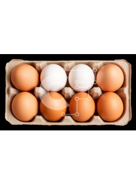 Σετ των 2 Intra Συλλεκτικό Ξύλινο Παζλ Plywood  4mm - Κουτί με αυγά με λευκά και καφέ αυγά Σε Ξύλινο Κουτί - Διαστάσεις: 10x10 cm – 25 κομμάτια