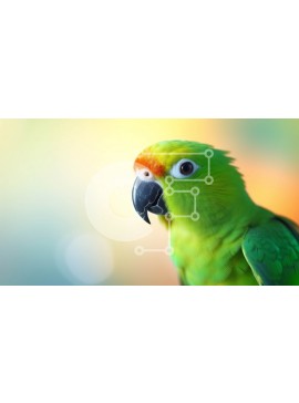 Intra Συλλεκτικό Ξύλινο Παζλ Plywood  4mm - Πράσινος παπαγάλος με ορθάνοιχτο ράμφος Σε Ξύλινο Κουτί - Διαστάσεις: 10x10 cm – 25 κομμάτια