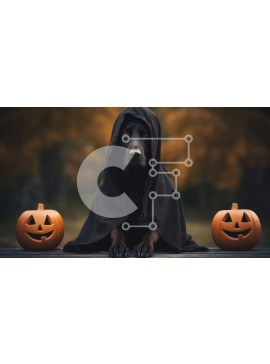 Intra Συλλεκτικό Ξύλινο Παζλ Plywood  4mm - Σκύλος με κουκούλα με κολοκύθες Σε Ξύλινο Κουτί - Διαστάσεις: 10x10 cm – 25 κομμάτια