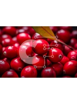 Σετ των 2 Intra Συλλεκτικό Ξύλινο Παζλ Plywood  4mm - Σωρός από κόκκινα βακκίνια Σε Ξύλινο Κουτί - Διαστάσεις: 10x10 cm – 25 κομμάτια