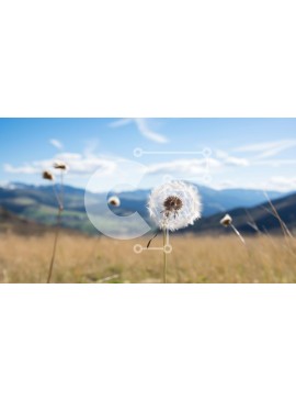 Intra Συλλεκτικό Ξύλινο Παζλ Plywood  4mm - Λουλούδια πικραλίδας σε ένα χορταριασμένο χωράφι με βουνά στο φόντο Σε Ξύλινο Κουτί - Διαστάσεις: 10x10 cm – 25 κομμάτια