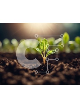 Intra Συλλεκτικό Ξύλινο Παζλ Plywood  4mm - Νεαρό φυτό που βλασταίνει από το έδαφος με τον ήλιο στο φόντο Σε Ξύλινο Κουτί - Διαστάσεις: 10x10 cm – 25 κομμάτια