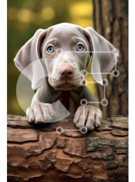 Σετ των 2 Intra Συλλεκτικό Ξύλινο Παζλ Plywood  4mm - Αξιολάτρευτη εικόνα ενός μικρού γκρίζου κουταβιού σε ένα δάσος Σε Ξύλινο Κουτί - Διαστάσεις: 10x10 cm – 25 κομμάτια