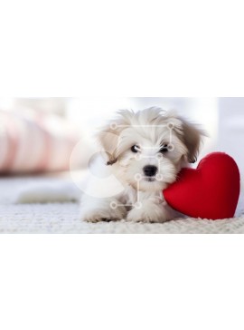 Intra Συλλεκτικό Ξύλινο Παζλ Plywood  4mm - Μικρό λευκό σκυλί με κόκκινη καρδιά Σε Ξύλινο Κουτί - Διαστάσεις: 10x10 cm – 25 κομμάτια
