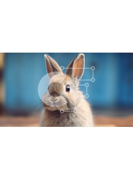 Intra Συλλεκτικό Ξύλινο Παζλ Plywood  4mm - Αξιολάτρευτη εικόνα ενός μικρού καφέ κουνελιού με μπερδεμένα αυτιά Σε Ξύλινο Κουτί - Διαστάσεις: 10x10 cm – 25 κομμάτια