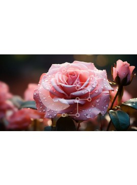 Intra Συλλεκτικό Ξύλινο Παζλ Plywood  4mm - Όμορφη εικόνα ενός ροζ τριαντάφυλλου με σταγονίδια δροσιάς Σε Ξύλινο Κουτί - Διαστάσεις: 10x10 cm – 25 κομμάτια