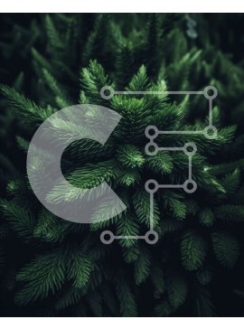 Intra Συλλεκτικό Ξύλινο Παζλ Plywood  4mm - Όμορφη κινηματογράφηση σε πρώτο πλάνο κλαδιού πεύκου με πράσινες βελόνες Σε Ξύλινο Κουτί - Διαστάσεις: 10x10 cm – 25 κομμάτια