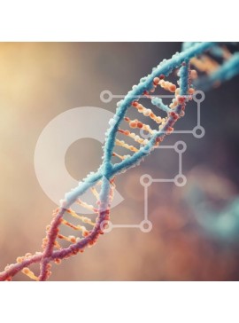 Intra Συλλεκτικό Ξύλινο Παζλ Plywood  4mm - Κοντινή όψη του κλώνου DNA σε χρώμα Σε Ξύλινο Κουτί - Διαστάσεις Puzzle: 10x10 cm – 25 κομμάτια