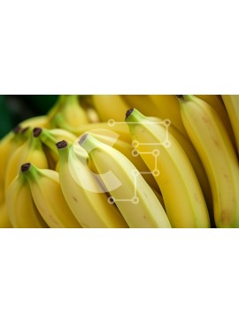 Σετ των 2 Intra Συλλεκτικό Ξύλινο Παζλ Plywood  4mm - Στοίβα μπανάνας - φρέσκια και νόστιμη Σε Ξύλινο Κουτί - Διαστάσεις: 10x10 cm – 25 κομμάτια