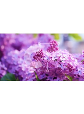 Intra Συλλεκτικό Ξύλινο Παζλ Plywood  4mm - Κοντινό πλάνο μωβ λιλά λουλούδια με πράσινα φύλλα Σε Ξύλινο Κουτί - Διαστάσεις: 10x10 cm – 25 κομμάτια