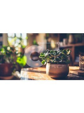 Intra Συλλεκτικό Ξύλινο Παζλ Plywood  4mm - Μικρό φυτό σε γλάστρα σε παλιό ξύλινο τραπέζι Σε Ξύλινο Κουτί - Διαστάσεις Puzzle: 10x10 cm – 25 κομμάτια