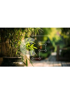 Intra Συλλεκτικό Ξύλινο Παζλ Plywood  4mm - Φυτό μπαμπού σε γλάστρα σε φυσικό περιβάλλον εξωτερικού χώρου Σε Ξύλινο Κουτί - Διαστάσεις: 10x10 cm – 25 κομμάτια