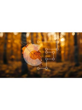 Intra Συλλεκτικό Ξύλινο Παζλ Plywood  4mm - Μονό κίτρινο φύλλο που επιπλέει στο φθινοπωρινό δάσος Σε Ξύλινο Κουτί - Διαστάσεις: 10x10 cm – 25 κομμάτια