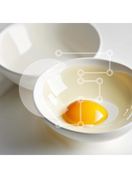 Σετ των 2 Intra Συλλεκτικό Ξύλινο Παζλ Plywood  4mm - Λευκά μπολ με ραγισμένο αυγό - Φωτογραφία φαγητού Σε Ξύλινο Κουτί - Διαστάσεις: 10x10 cm – 25 κομμάτια