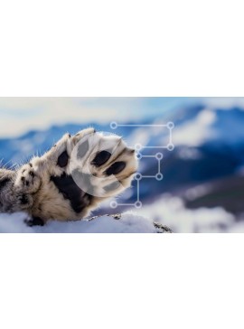 Intra Συλλεκτικό Ξύλινο Παζλ Plywood  4mm - Γούνινο πόδι ζώου σε χιονισμένο έδαφος με βουνά Σε Ξύλινο Κουτί - Διαστάσεις: 10x10 cm – 25 κομμάτια